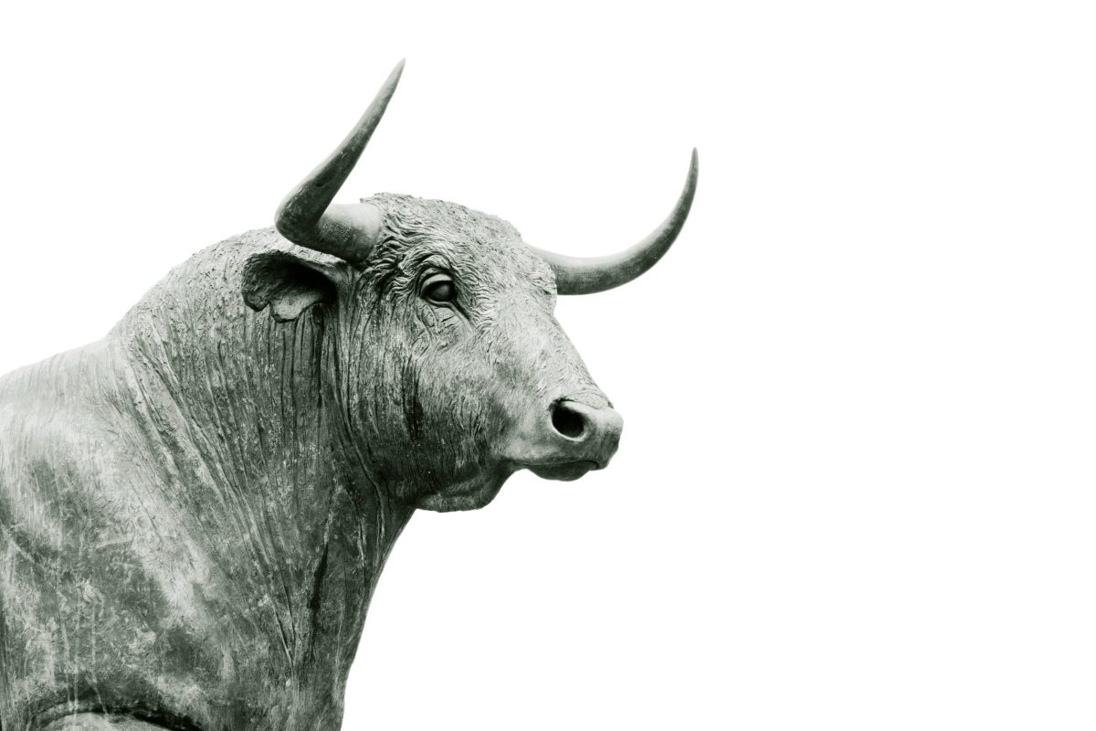 Savings vs. Investing: What Goes Where—and Why It Matters