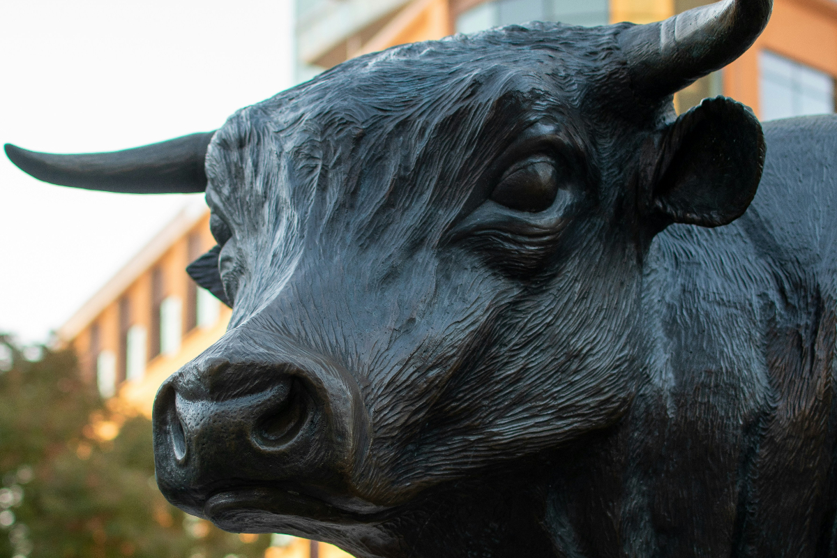 How I Won My Durham County Property Tax Appeal — And You Can, Too